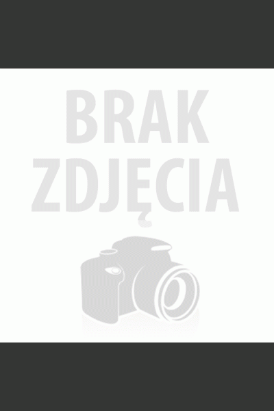 LAMPA WITRAŻOWA STOJĄCA WINOGRONA | GRAPES
