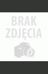 BARDZO DUŻY, NOWOCZESNY OBRAZ DO SALONU